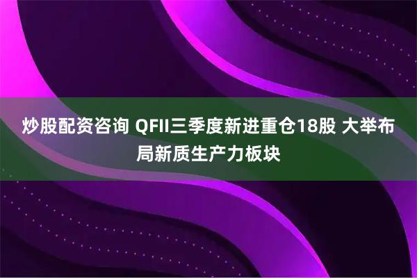 炒股配资咨询 QFII三季度新进重仓18股 大举布局新质生产力板块